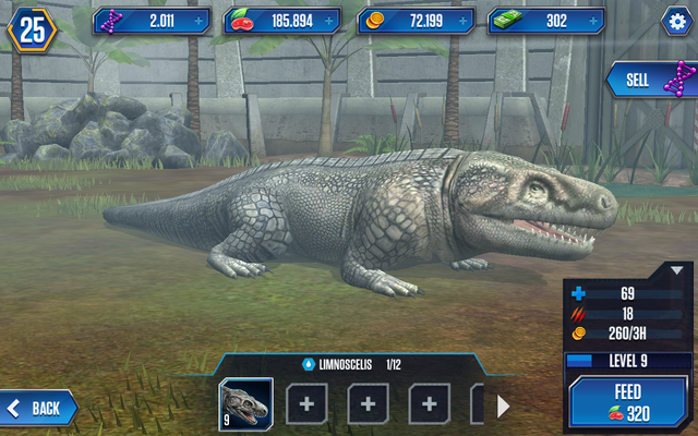 File:Limnoscelis1.png