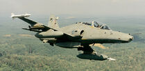 HMAS Buzzard X