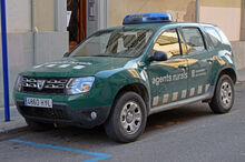 Stria Sandblast Border Patrol