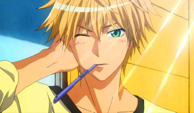 File:Takumi brushing.jpg