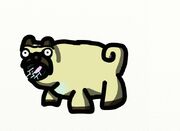 Fido