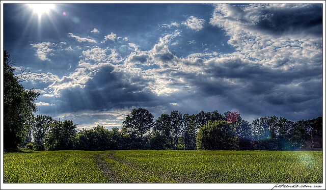 File:Junglesky.jpg