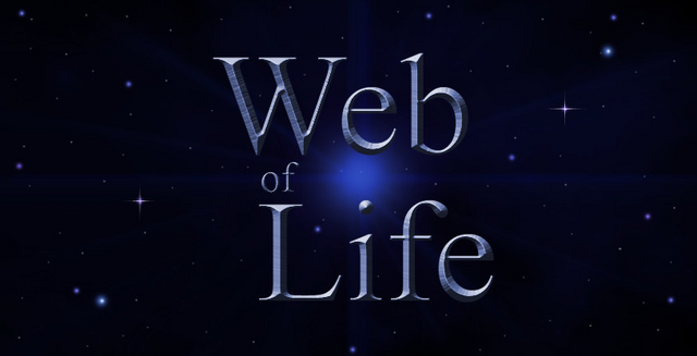 Файл:Wikia-Visualization-Add-7.png