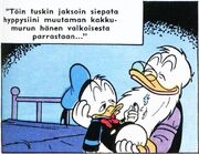 Öök.jpg