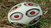 Dino-Egg