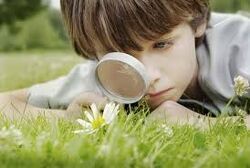 Curiosity2