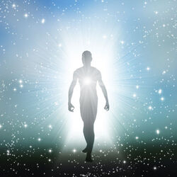 Soul-Fragments