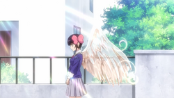 Tenri wings