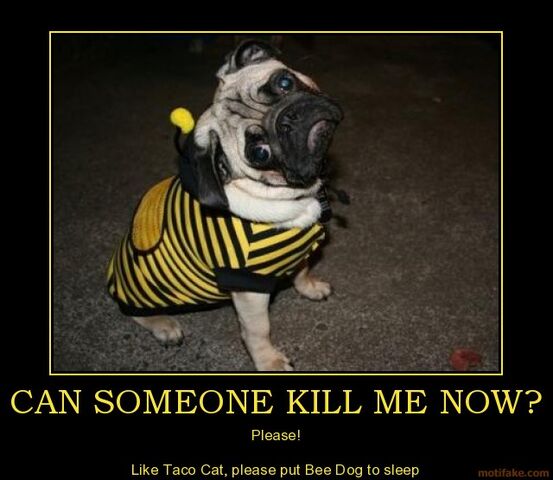 File:Kill me.jpg