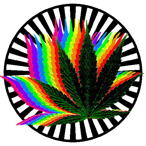 Plik:102907 14bab9b6c31b3df9684179e632a2aace.gif