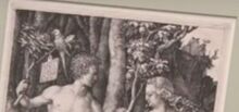 Adam and eve