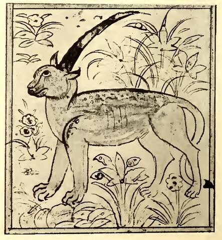 File:Shadhahvar Berlin manuscript.jpg