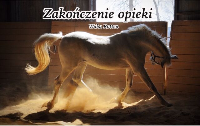 Plik:Zakończenie opieki.jpeg
