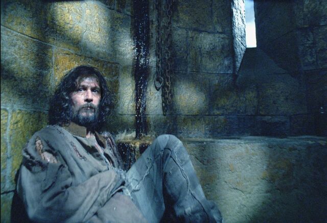 File:Sirius-Black-prisoner-of-azkaban-6094822-1050-717.jpg