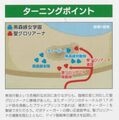 2017年5月31日 (三) 03:49的版本的缩略图