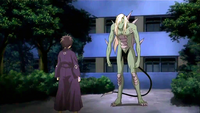 Yoki transformed