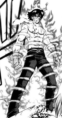 Archivo:Ryusui seikuken.jpg