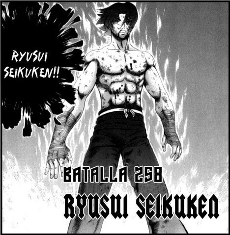 Archivo:Ryusui seikuken manga.jpg