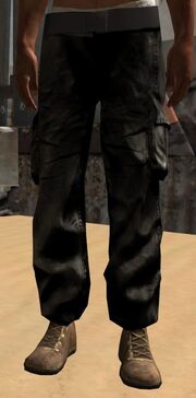 Cargopants Reinforced