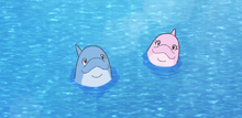 Dolphin's Parents