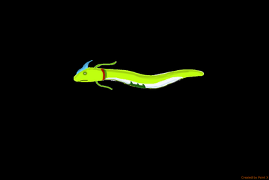 Caecillian alien