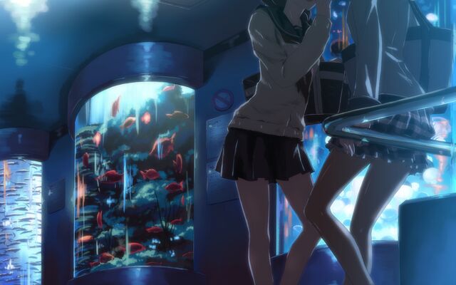 File:Waterquarium.jpg