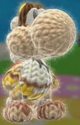 Pityoshi
