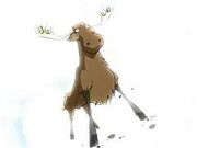 Moose
