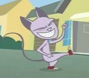 Mr Kitten Rock's!