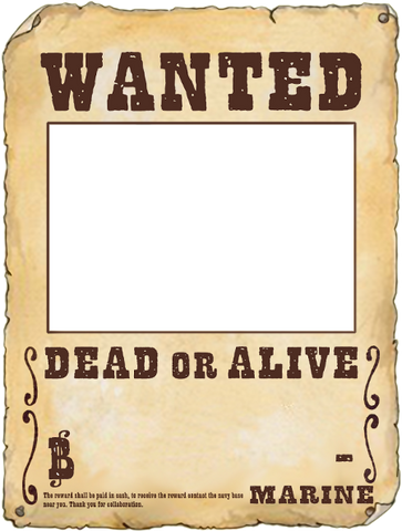 File:WANTED-1.png