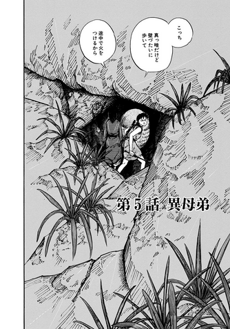 File:Chapter 5 cover.png