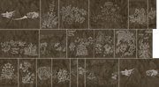 Cave pictures.png