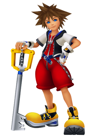 Fitxer:2493754-sora.png