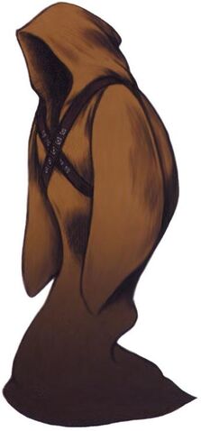 Fichier:Ansem manteau.jpg