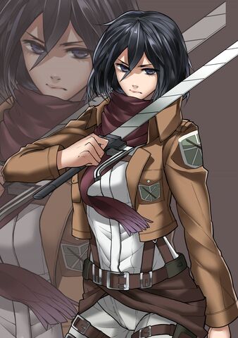 File:Mikasa.Ackerman.full.1484605.jpg