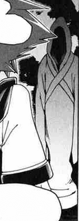 Cloaked Ansem