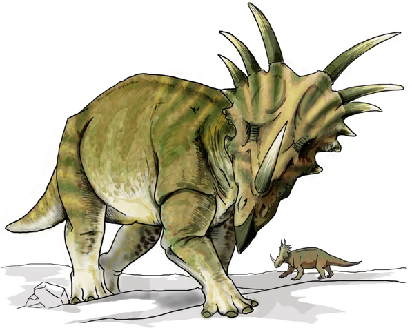 File:Styracosaurus.png