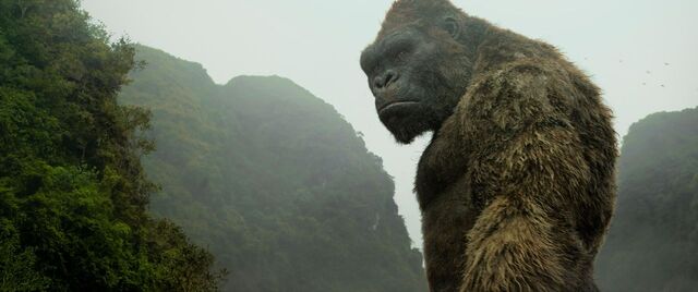File:Kong-Skull-Island-33.jpg