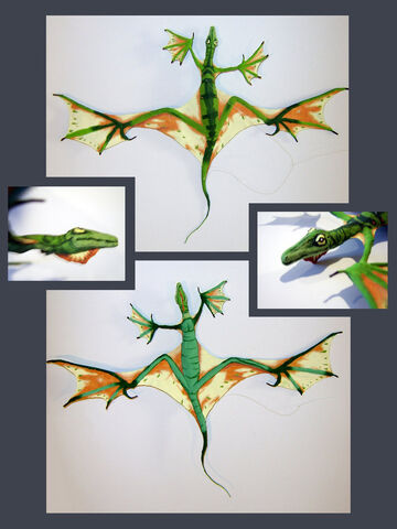 File:Aerosaurus verdens.jpg