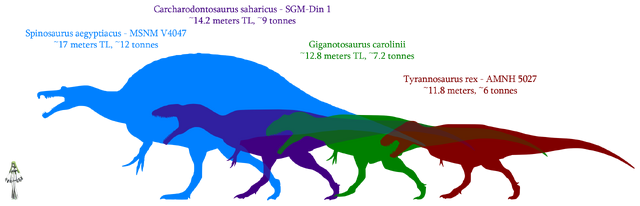 Plik:Giant cretaceous theropods size comparison by brolyeuphyfusion9500-d67wdmf.png