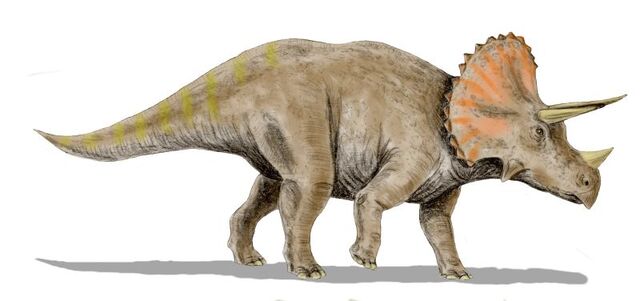 File:20100102161223!Triceratops BW.jpg