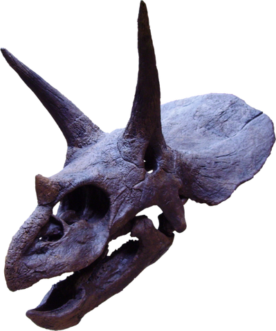 File:STriceratops.png