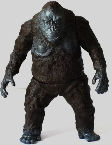File:Raymundo67Kong.jpg