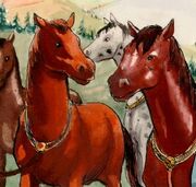 Horse