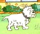 Sdoggie
