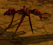 Fireant