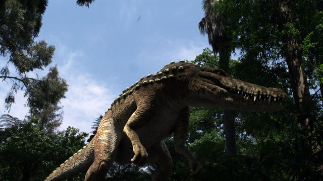 Файл:Dinocroc2.jpg