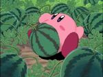 Watermelons