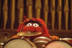 Animaleatdrums