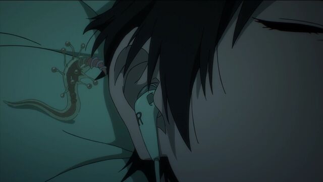 File:Migi ear.jpeg